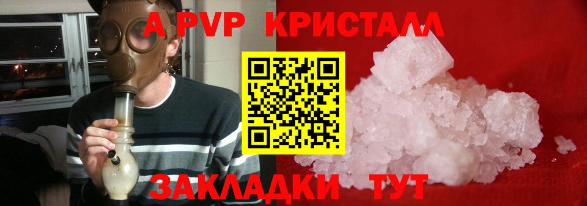 A PVP СК Краснознаменск