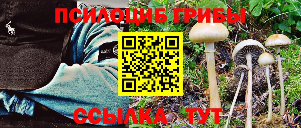 Галлюциногенные грибы MAGIC MUSHROOMS  Вход с VPN  Галлюциногенные грибы Magic Shrooms  Краснознаменск 